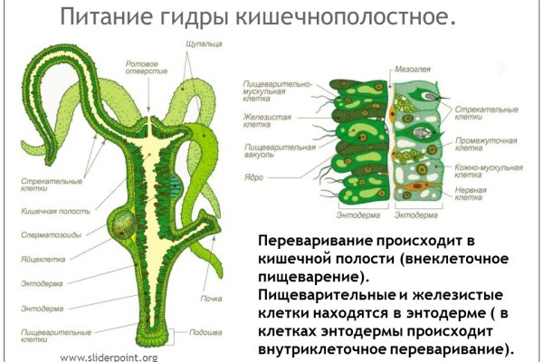 Наркоплощадки кракен