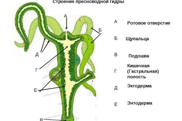 Как восстановить страницу на кракене